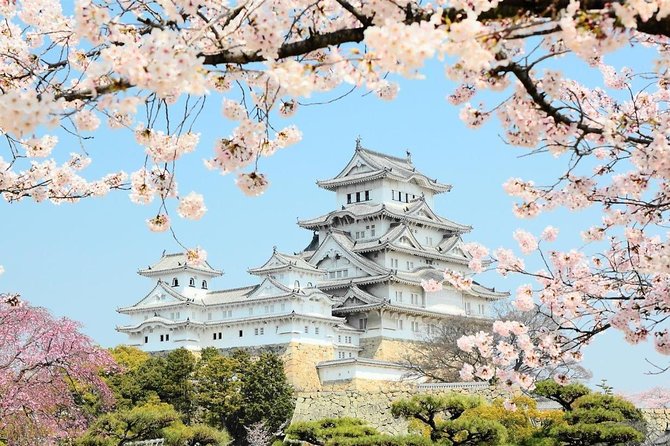 Himeji Half-Day Private Tour With Government-Licensed Guide - Customer Service & Host Responses