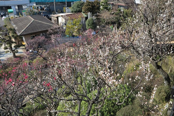 Historic Temple・Traditional Japanese Garden＆ Eating Around at a Shopping Strip - Shopping Strip Highlights