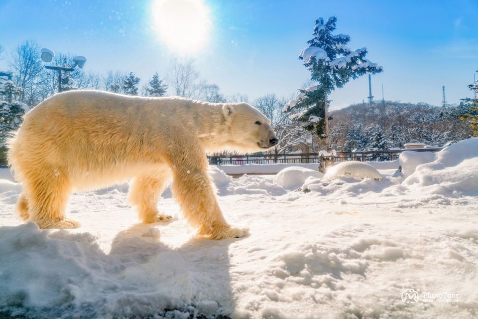 Hokkaido: Asahiyama Zoo, Furano, Beiei Blue Pond 1-Day Tour - Customer Reviews & Ratings