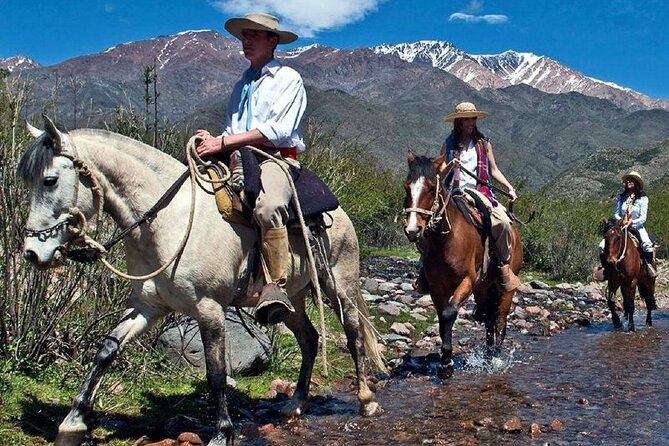 Horseback Riding in Mendoza Through the Vineyards and River With Optional Asado.