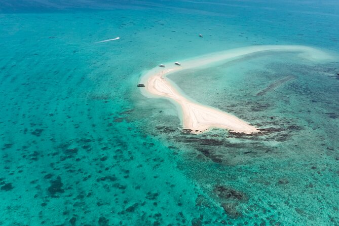 [Ishigaki] Mangrove SUP/Canoe Phantom Island Snorkeling - Snorkeling Experience