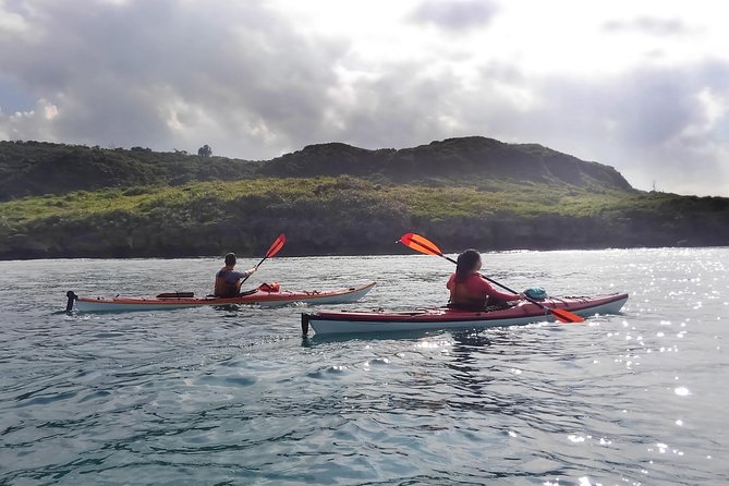 Kayak Mangroves or Coral Reef: Private Tour in North Okinawa - Weather Considerations and Operations
