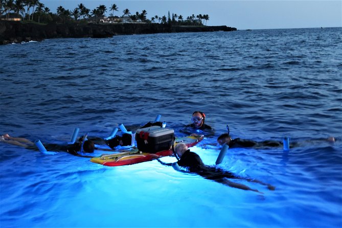 Keauhou Manta Ray Night Snorkel - Customer Experiences and Reviews