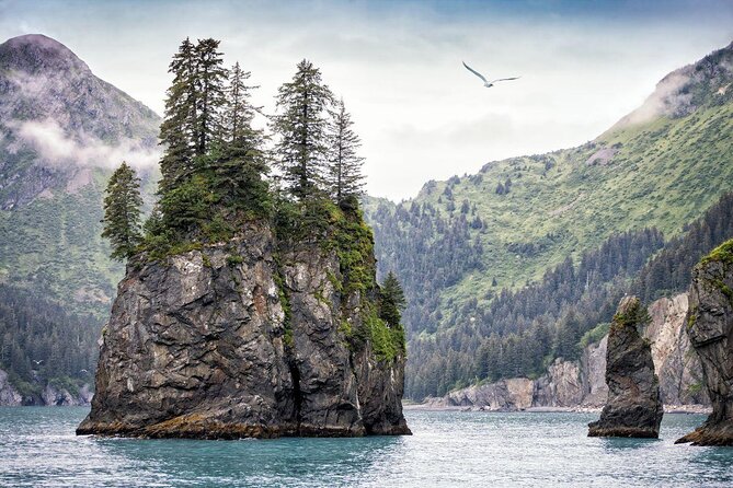 Kenai Fjords National Park Glacier & Wildlife Cruise - Wildlife Encounters and Tour Highlights