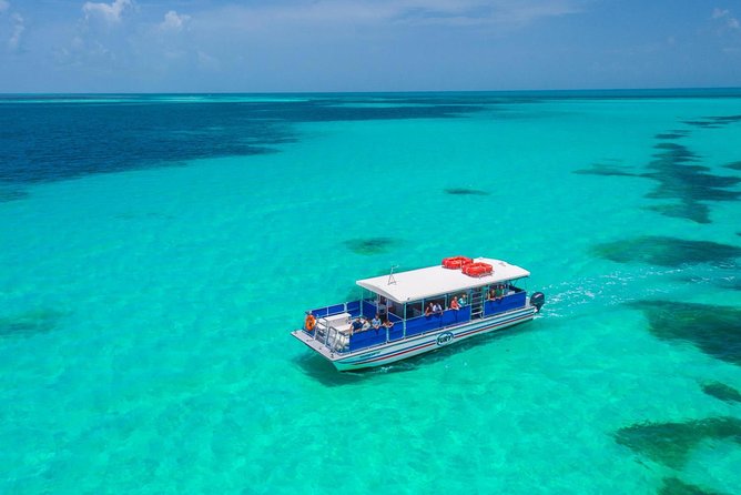 Key West Dolphin Watch and Snorkel Cruise - Customer Experience