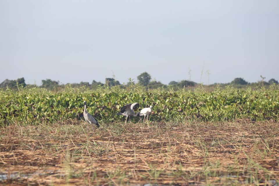 Kompong Khleang Floating Village: Full-Day From Siem Reap - Review Summary