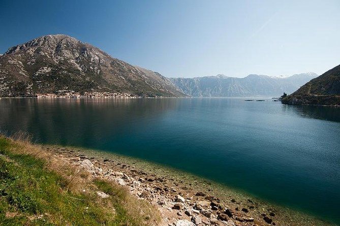 Kotor Bay Excursion With a Professional Guide  - Dubrovnik - Booking and Contact Information
