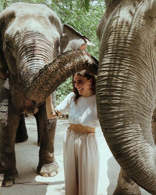 Kulen Elephant Siem Reap Forest in Small Group Tour - Logistics and Location