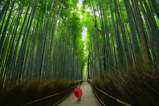 Kyoto: Arashiyama Bamboo, Temple, Matcha, Monkeys & Secret Spots - Overall Tour Experience Insights