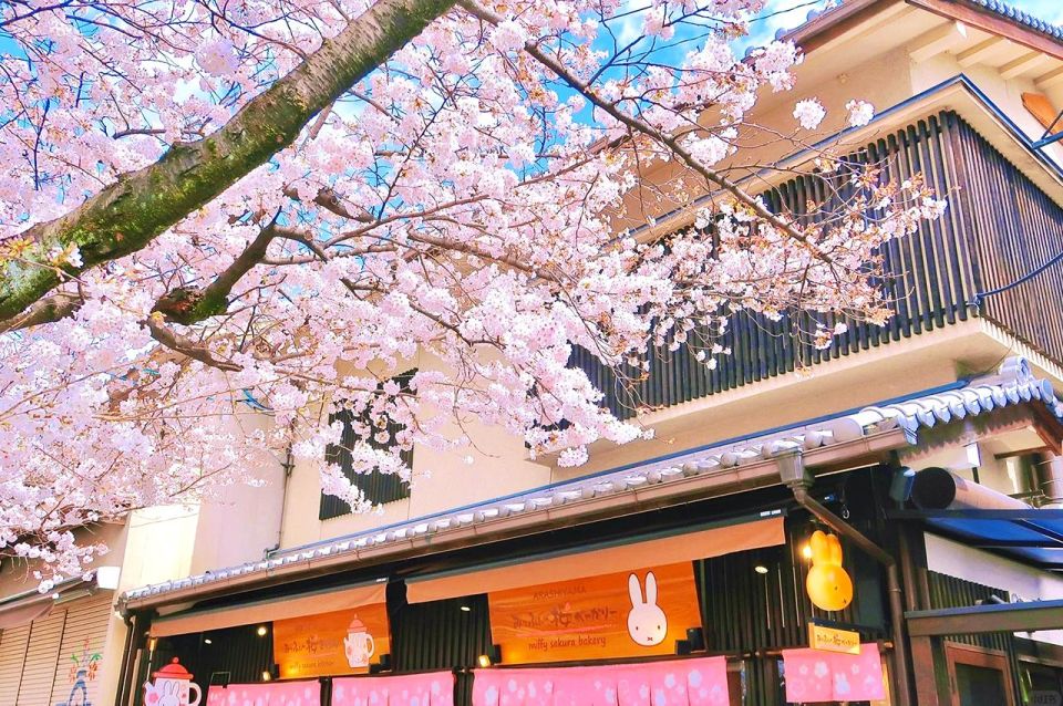 Kyoto: Cherry Blossom Highlights and Pontocho 1-Day Tour - Booking Information