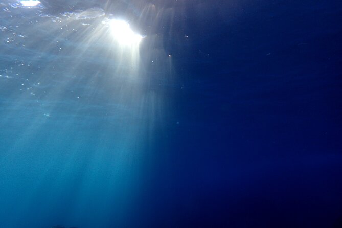 Lets Enjoy Scuba Diving in Izu Oceanic Park Izu Peninsula for Certificate Diver - Additional Safety Guidelines
