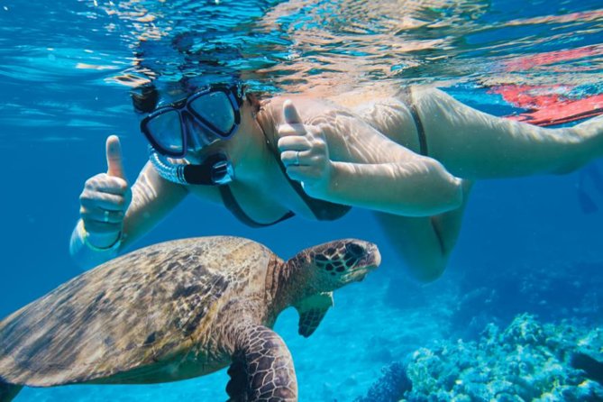 Makena Turtle Town Eco Adventure in Maui - Additional Information