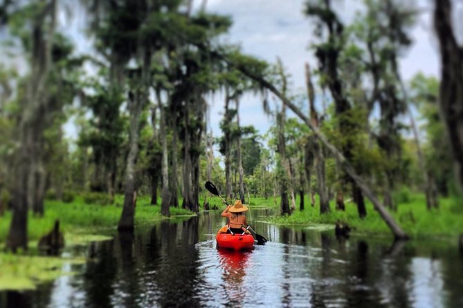Manchac Swamp Kayak Small-Group Tour - Tour Experience and Recommendations
