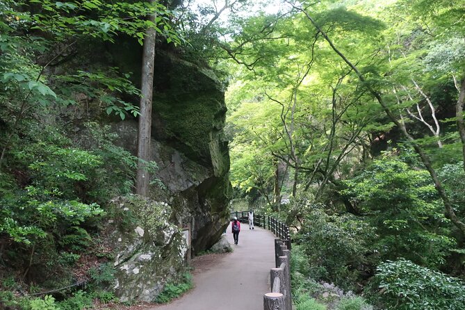 Minoh Waterfall and Nature Walk Through the Minoh Park - Inclusions in the Tour Package