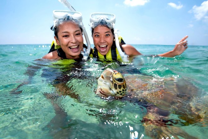 Miyakojima / Snorkel Tour to Swim With Sea Turtles - Cancellation Policy Details