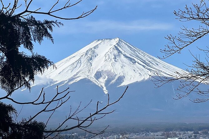 Mt. Fuji and Lake Kawaguchi Day Trip With English Speaking Driver - Tour Guide Alis Services and Customer Reviews