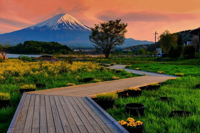 Mt. Fuji Five Lakes Area Private Tour With Licensed Guide(Kawaguchiko Area Dep) - Cancellation Policy