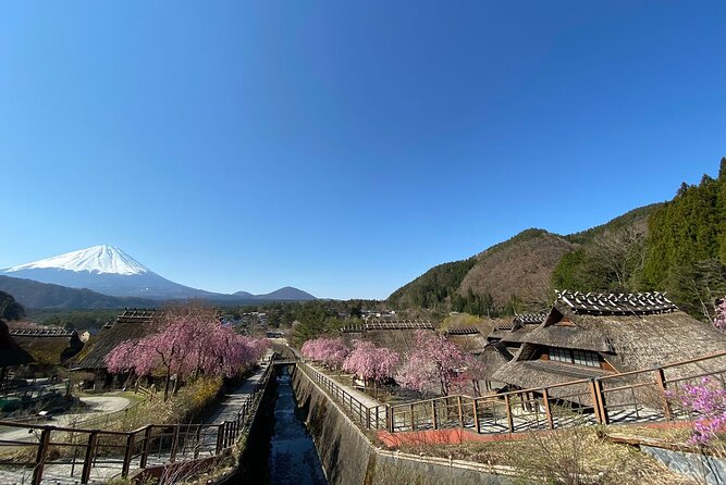 Mt Fuji Full-Day Tour By Car - Additional Information