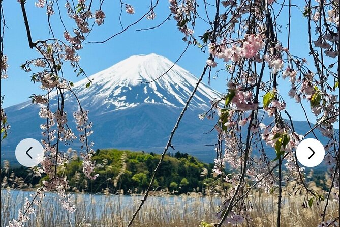 Mt. Fuji, Hakone Full-Day Private Tour With English Driver Guide - Scenic Beauty Recommendations