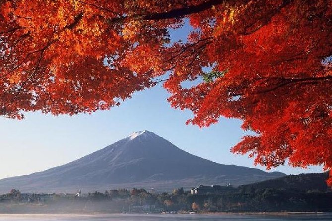 Mt Fuji, Hakone, Lake Ashi Cruise 1 Day Bus Trip From Tokyo - Dietary Options and Audio Guides