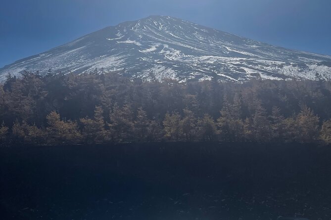 Mt. Fuji Private Tour With English Speaking Driver - Feedback Categories