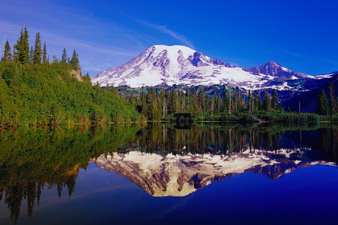 Mt. Rainier Day Tour From Seattle - Customer Recommendations