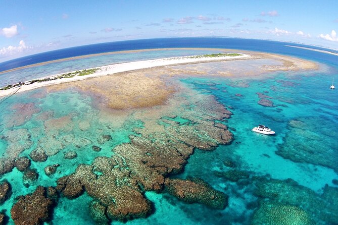 Naha: Full-Day Snorkeling Experience in the Kerama Islands, Okinawa - Viator Information and Pricing