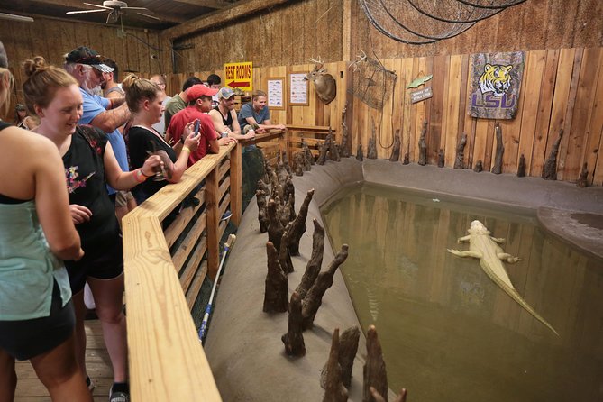 New Orleans Airboat Ride - Guide Experience