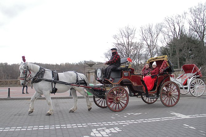 New York City: Central Park Private Horse-and-Carriage Ride - Additional Tour Details