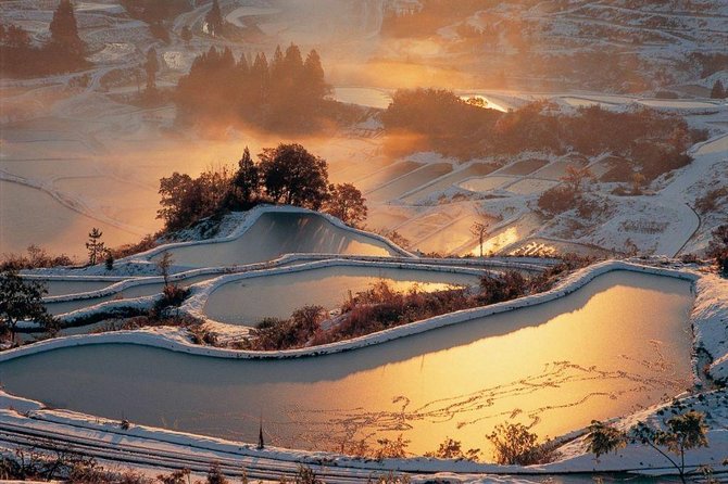 Niigata Full-Day Private Tour With Government-Licensed Guide - Pricing and Additional Information
