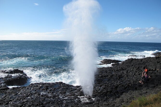 Oahu Circle Island Tours - Traveler Assistance Resources