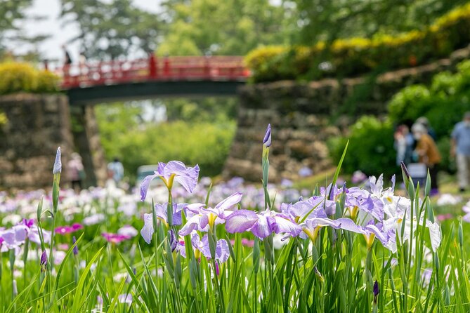 Odawara Castle and Town Guided Discovery Tour - Customer Reviews