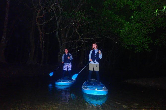 [Okinawa Iriomote] Night SUP/Canoe Tour in Iriomote Island - Customer Reviews Analysis