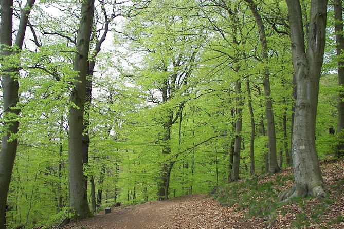 Paklenica National Park Admission Ticket - Tour Group Size Limit