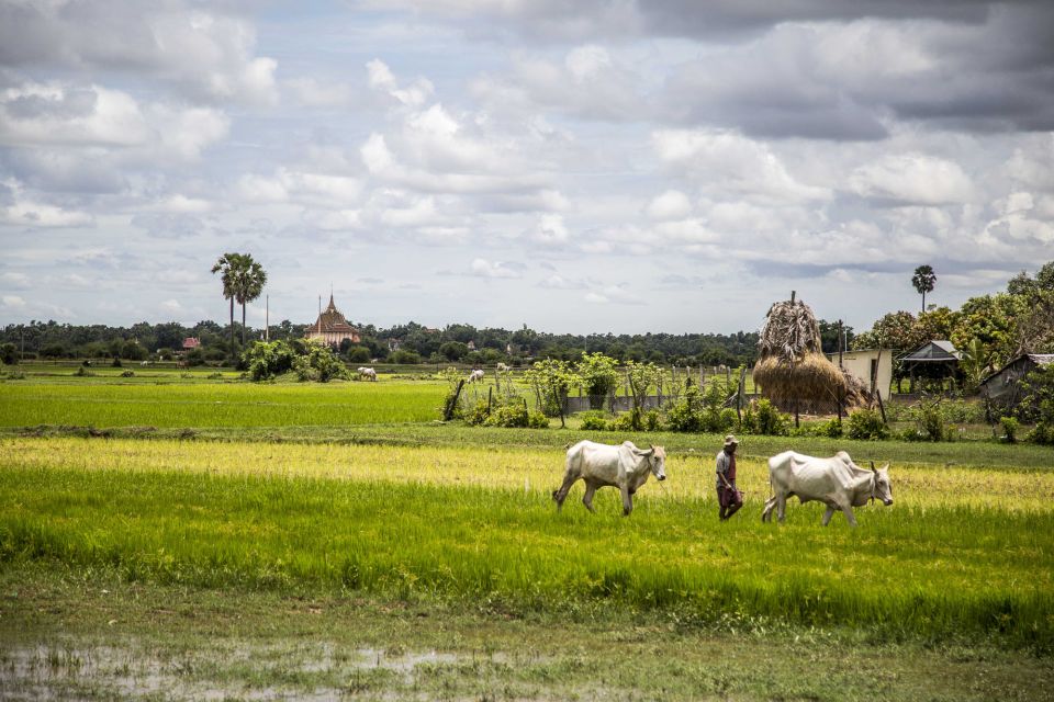 Phnom Penh: Phnom Oudong & Koh Chen Village - Lunch Include - Customer Review