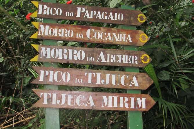 Pico Da Tijuca Trail  - Rio De Janeiro - Conservation Efforts