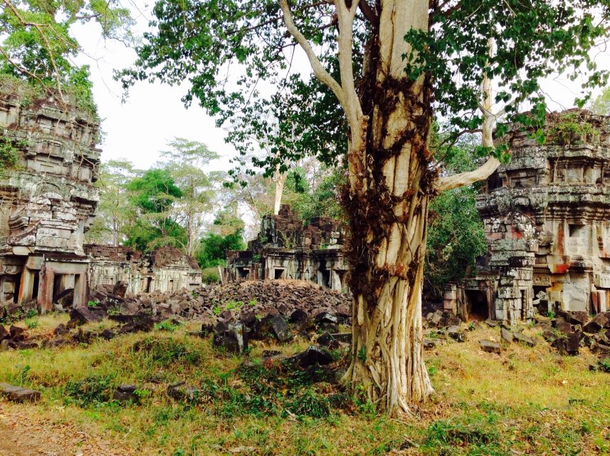 Preah Khan Kampong Svay, Sambor Prei Kuk Private Guided Tour - Site Specifics