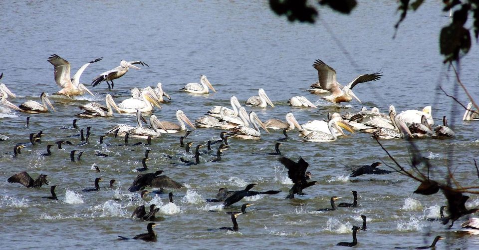 Private Agra Overnight Tour With Bharatpur Bird Sanctuary - Sightseeing and Activities Included