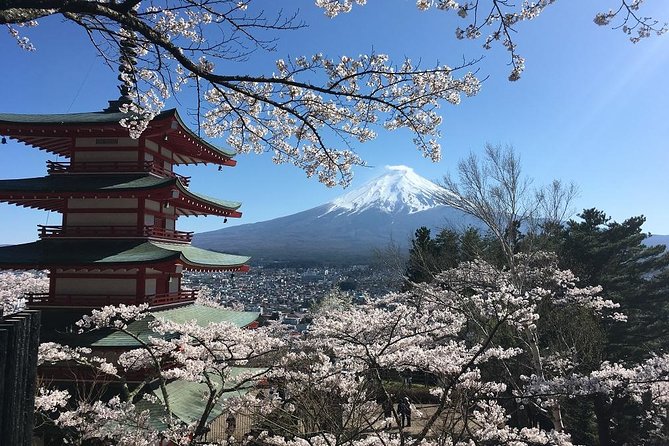 Private Car Tour to Mt. Fuji Lake Kawaguchiko or Hakone Lake Ashi - Customer Testimonials