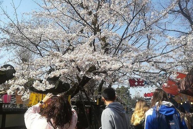 Private Full-Day Cherry-Blossom Tour of Tokyo With Tsukiji - Booking and Pricing Information