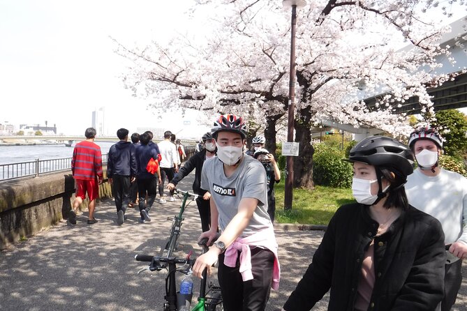 Private Half-Day Cycle Tour of Central Tokyos Backstreets - Tour Type, Duration, and Highlights