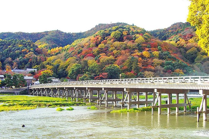 Private Kyoto Arashiyama Custom Half-Day Tour by Chartered Vehicle - Traveler Reviews and Ratings