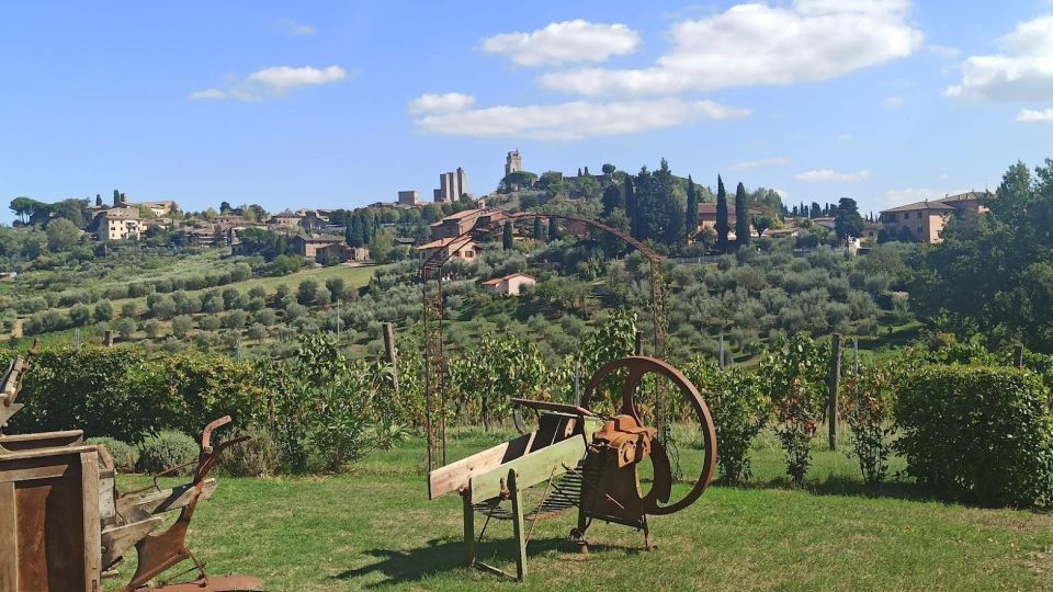 Private Tour: Visit Siena and the Rolling Hills of Chianti. - Personalized Service