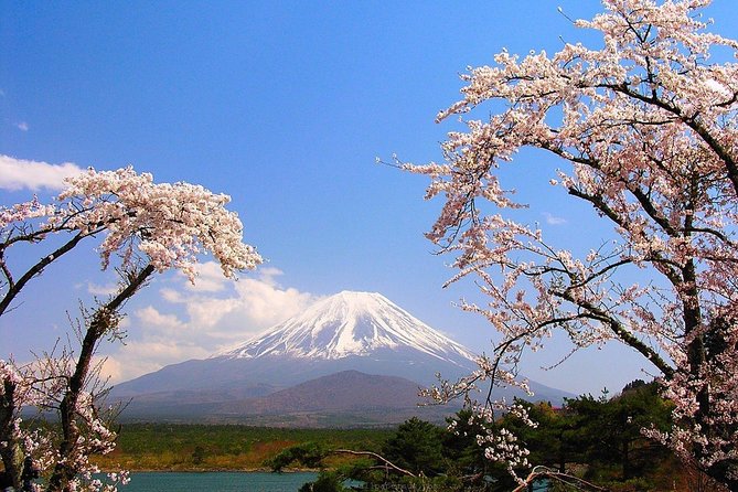 Private Transport Mt Fuji and Hakone 1 Day Trip - Cancellation Policy