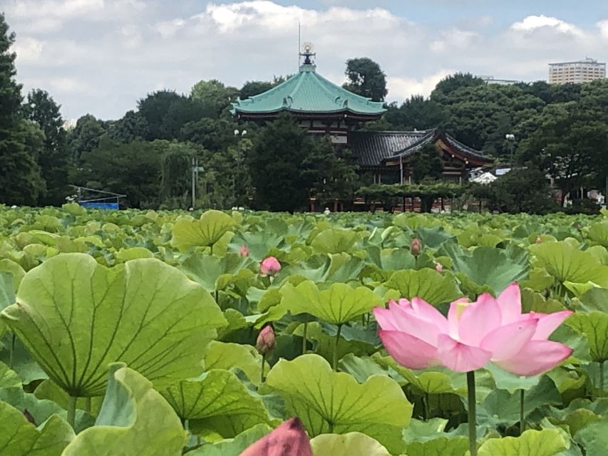 Private Ueno Park Architecture Tour - Language Options