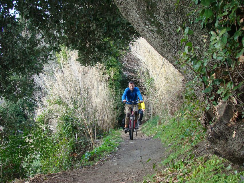 Rome: Private Appian Way & Albano Lake Full-Day E-Bike Tour - Booking Details