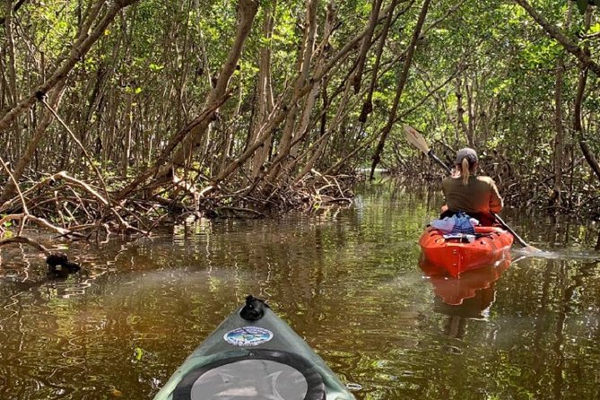 Sarasota Guided Mangrove Tunnel Kayak Tour - Customer Reviews