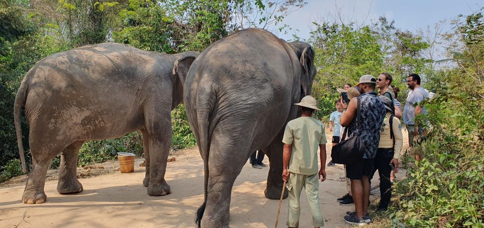 Siem Reap: Small Group Tour of Kulen Elephant Forest - Customer Reviews