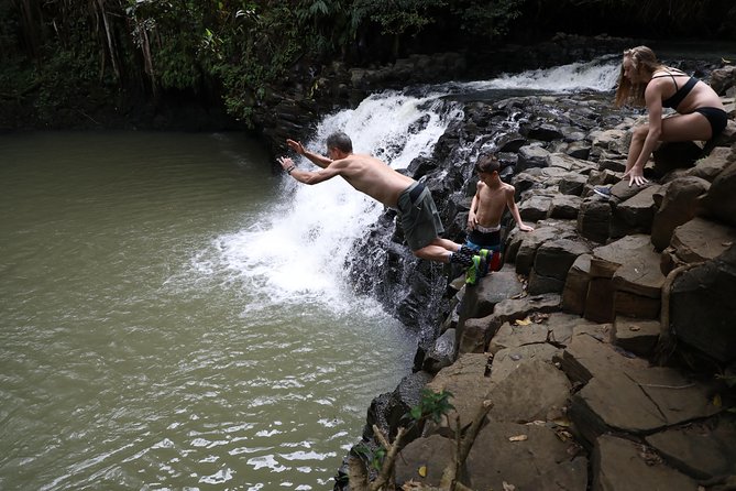 Small Group Waterfall and Rainforest Hiking Adventure on Maui - Common questions