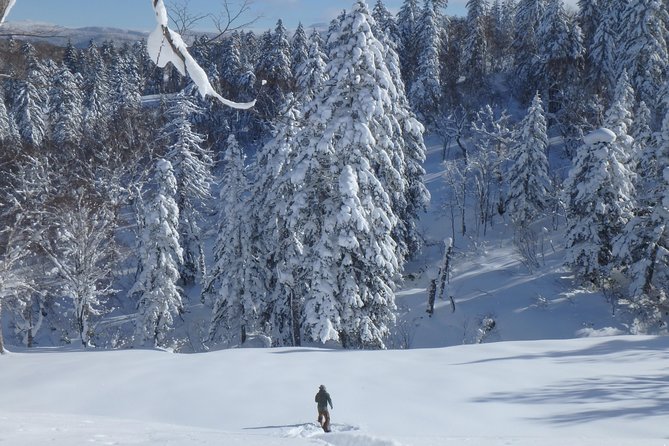 Snowshoe Hike Tour From Sapporo - Traveler Highlights